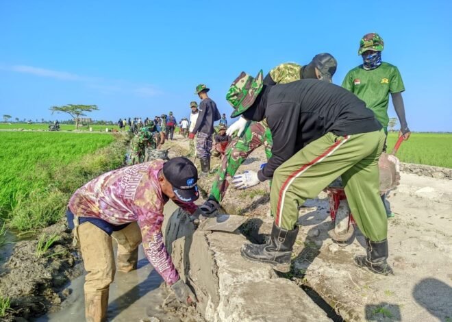 Hari Ke-16, Energi Kebersamaan Satgas TMMD Ke-129 Kian Membara di Tengah Percepatan Pembangunan