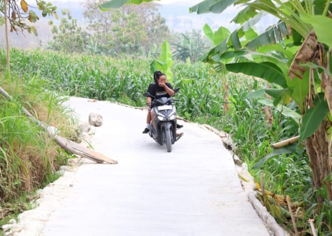 Bukan Sekadar Akses Pertanian, Jalan Usaha Tani TMMD ke-129 Kodim 0812/Lamongan di Desa Tlemang Jadi Jalur Pendidikan dan Perekonomian Warga