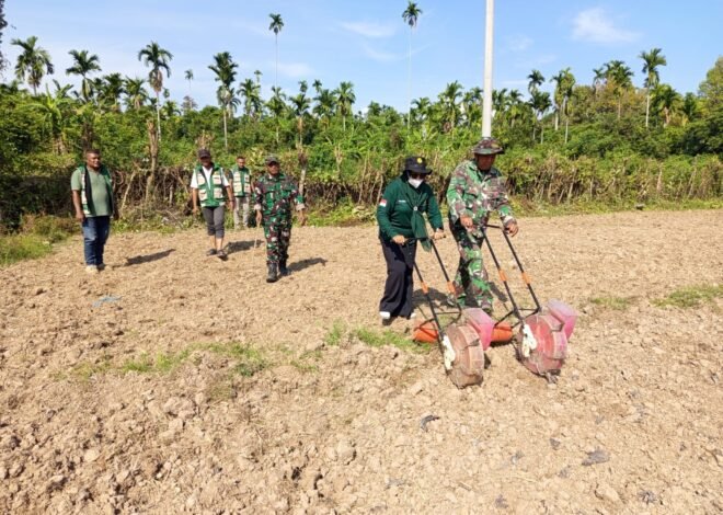 Gandeng PPL, Satgas TMMD Ke-129 Kodim 0102/Pidie Edukasi Warga Tanam Jagung di Lahan Ketahanan Pangan
