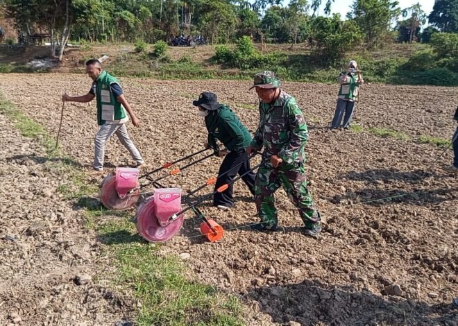 Satgas TMMD Ke-129 Kodim 0102/Pidie Gandeng PPL Edukasi Warga Budidaya Jagung
