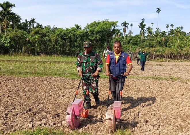 Kolaborasi Satgas TMMD dan PPL Dorong Pemanfaatan Lahan Produktif di Desa Lhok Panah