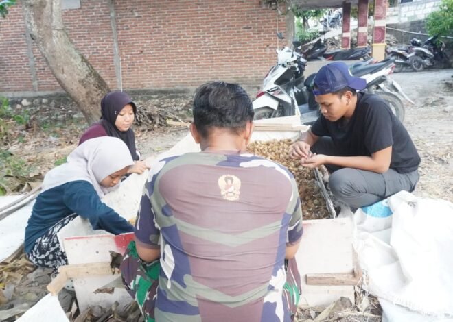 ​Sinergi Loreng dan Jas Almamater: Satgas TMMD ke-129 Kodim 0812/Lamongan Bersama Mahasiswa KKN Hidupkan Potensi Ekonomi Desa Tlemang Lewat Budidaya Jamur