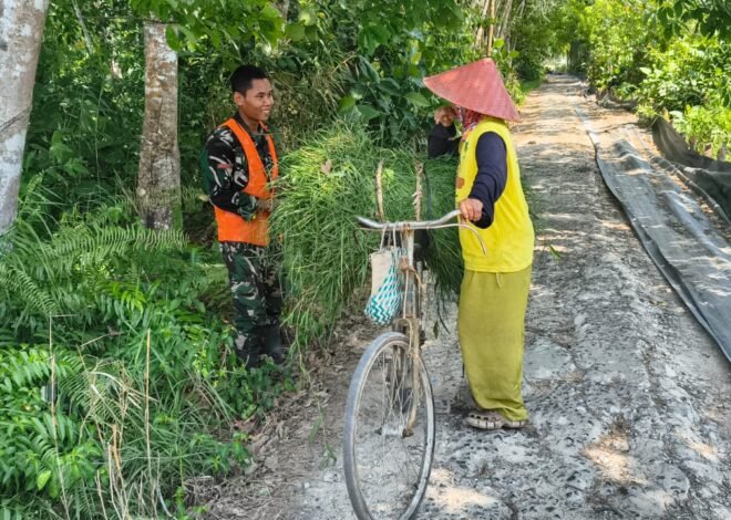 Senyum dan Sapaan Satgas TMMD Jadi Energi Positif Bangun Kebersamaan di Desa Bandar Raya