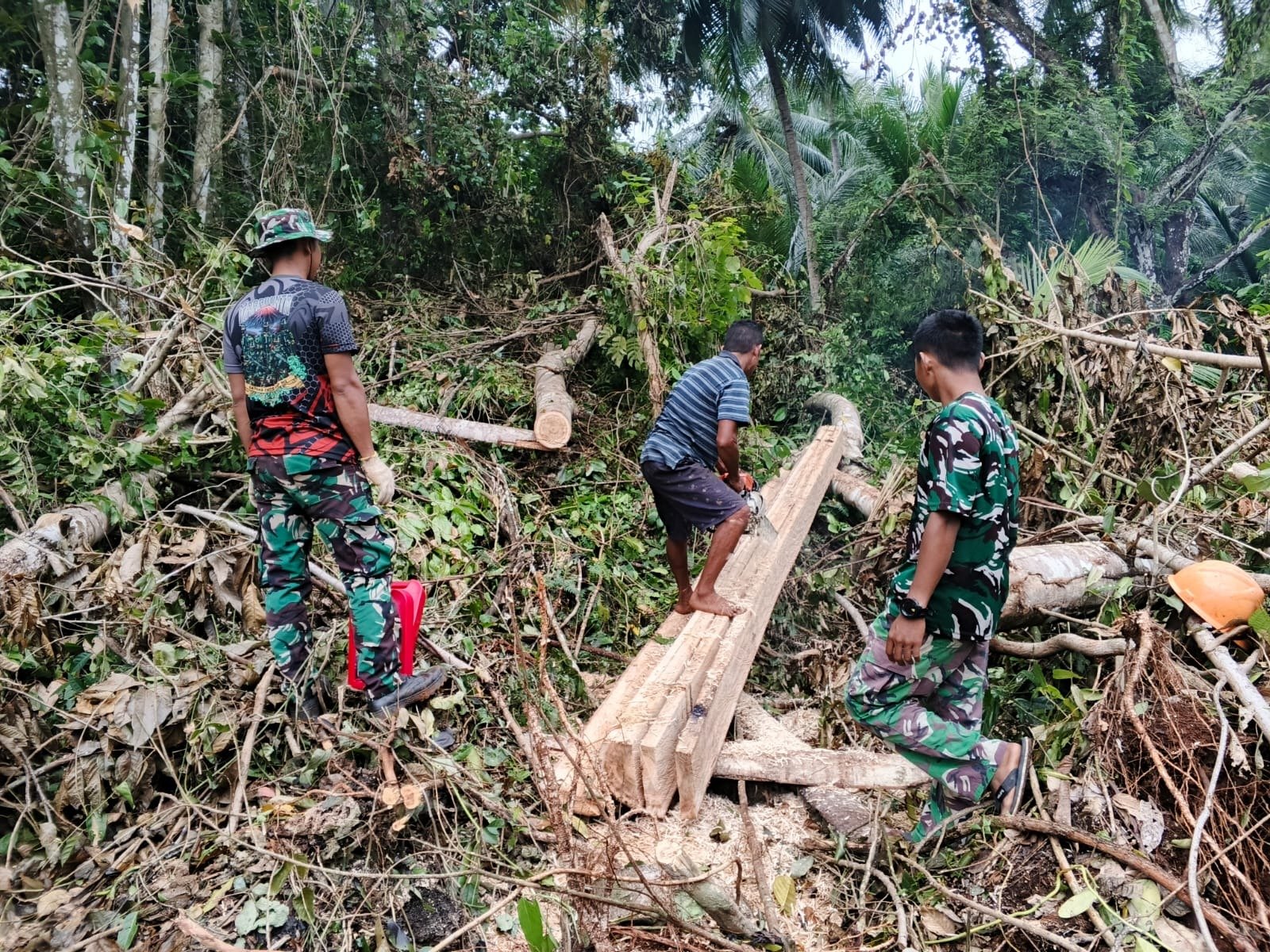 Satgas TMMD Ke-129 Tunjukkan Dedikasi, Ambil Material Kayu untuk Renovasi RTLH di Desa Umbele