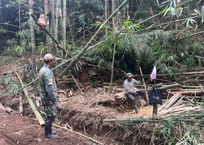 Petani Bambu Rasakan Manfaat TMMD, Akses Pertanian Kini Lebih Lancar