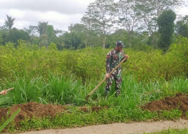 Progres Pipanisasi TMMD Ke-129 Capai 35 Persen, Satgas Kodim 1626/Bangli Terus Kebut Pengerjaan