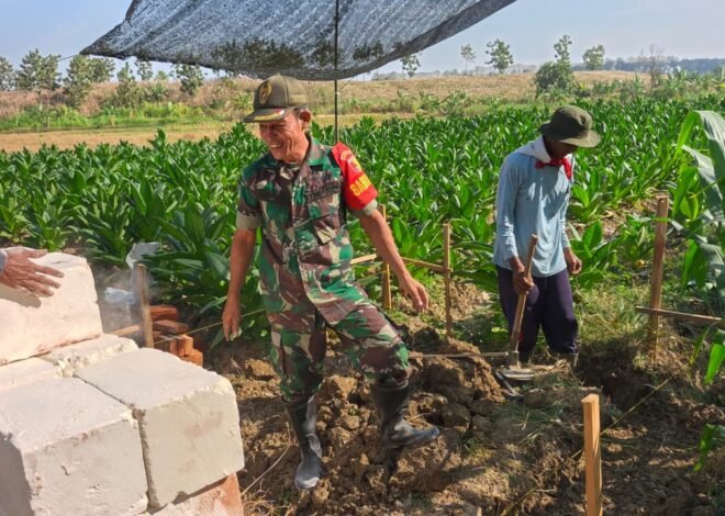Babinsa Sertu Muin dan Warga Mulai Bangun Fondasi Tandon Air Irigasi untuk Dukung Petani Jagung