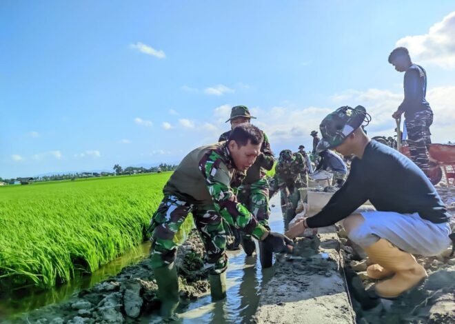 Gaspol, Satgas TMMD Ke-129 Kodim 1404/Pinrang Terus Genjot Pembuatan Talud Jalan Tani di Desa Tanratuo