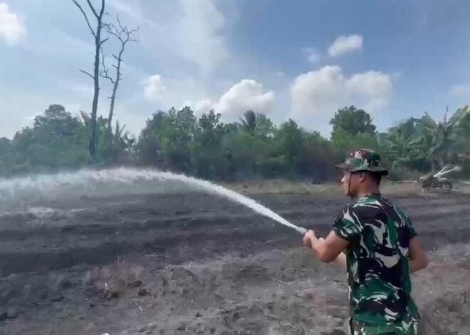 Dukung Ketahanan Pangan, Satgas TMMD Ke-129 Kodim 0413/Bangka Tanam Kangkung Bersama Warga di Desa Deniang
