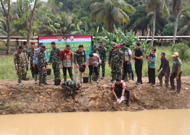 Percepat Ketahanan Pangan, Satgas TMMD ke-129 Kodim 0412/LU Tebar Ribuan Bibit Ikan di Desa Baru Raharja