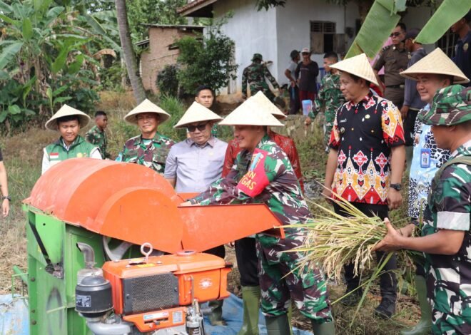 Dihadiri Forkopimda, Satgas TMMD Ke-129 Kodim 0412/LU Gelar Panen Raya Padi 5 Hektare di Desa Baru Raharja