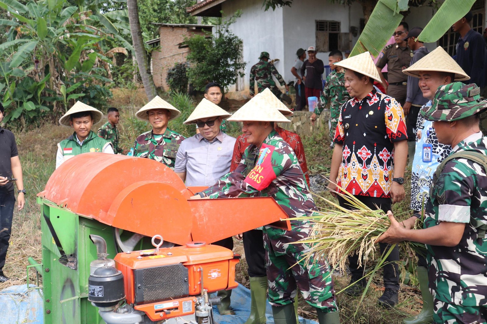 Dihadiri Forkopimda, Satgas TMMD Ke-129 Kodim 0412/LU Gelar Panen Raya Padi 5 Hektare di Desa Baru Raharja