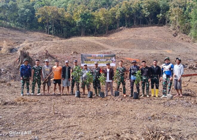 Tanam Alpukat di Desa Langi, Satgas TMMD ke-129 Kodim 1407/Bone Dorong Ketahanan Pangan dan Penghijauan