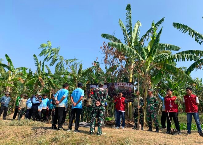 TMMD Ke-129 Kodim 0813/Bojonegoro Tanam Pohon, Hijaukan Desa Kesongo