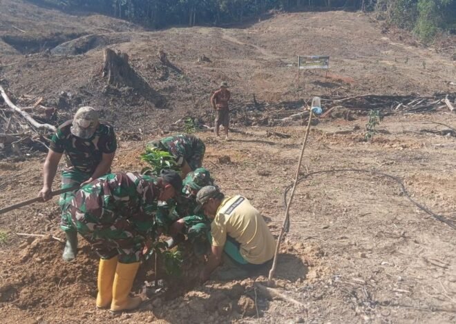 Satgas TMMD ke-129 Kodim 1407/Bone Lanjutkan Penanaman Alpukat, Dukung Penghijauan dan Ketahanan Pangan