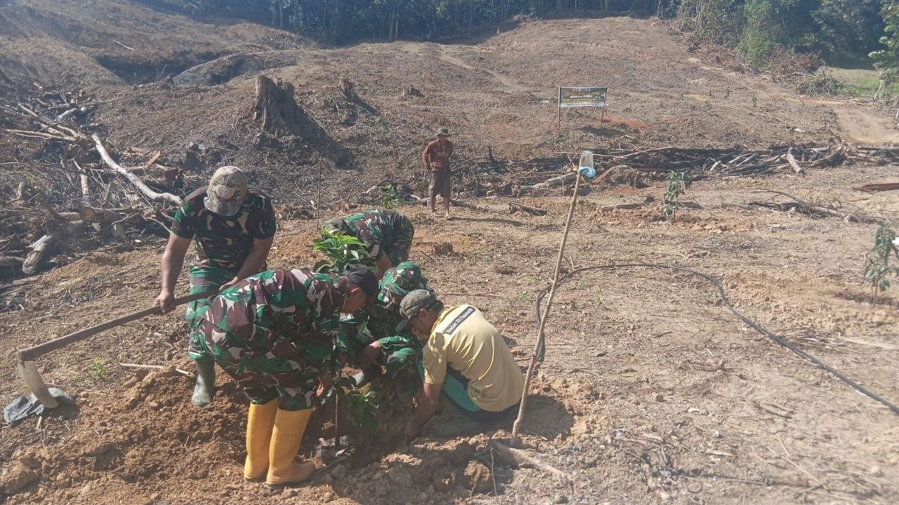 Satgas TMMD ke-129 Kodim 1407/Bone Lanjutkan Penanaman Alpukat, Dukung Penghijauan dan Ketahanan Pangan
