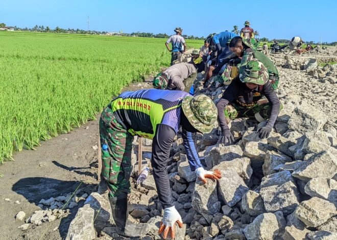 Lawan Terik Matahari, Satgas TMMD Ke-129 Kodim 1404/Pinrang Gaspol Tuntaskan Sasaran di Hari Ke-25
