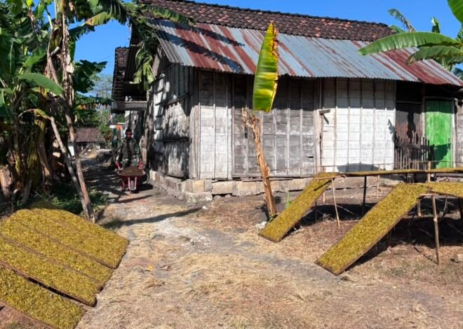 Persiapan Maksimal Satgas TMMD Awali Pembangunan RTLH Ibu Jasmiati