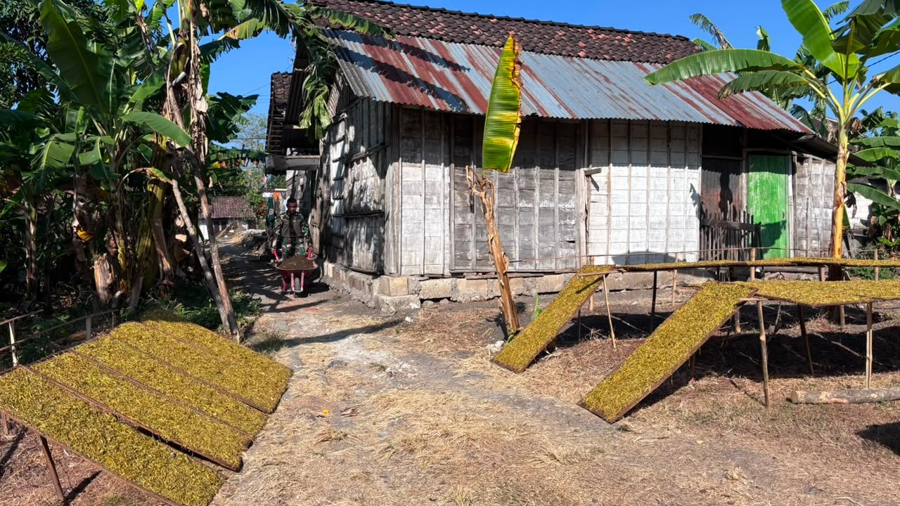 Persiapan Maksimal Satgas TMMD Awali Pembangunan RTLH Ibu Jasmiati