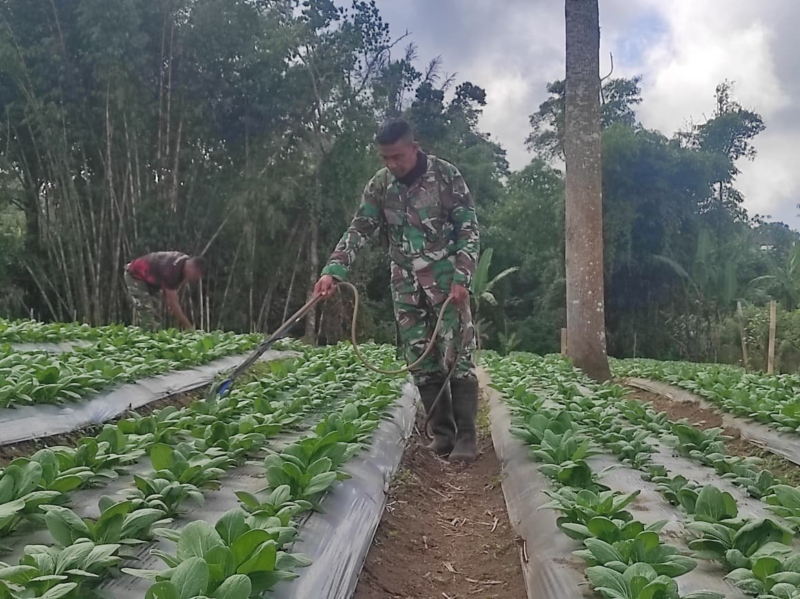 Manfaatkan Lahan 15 Are, Satgas TMMD Ke-129 Dorong Kemandirian Pangan Warga Sekardadi