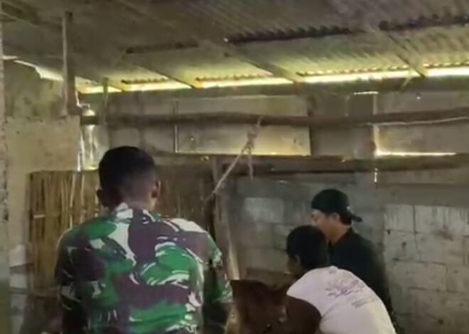 TMMD Ke-129 Kodim 0813/Bojonegoro Gelar Penyuntikan Kesehatan Hewan Ternak di Desa Kesongo