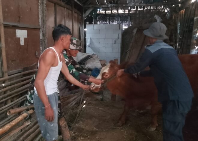 Pelayanan Kesehatan Hewan Ternak Jadi Bagian Program Nonfisik TMMD Ke-129 Kodim 0813/Bojonegoro