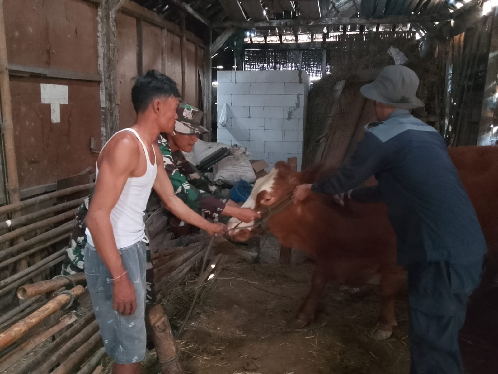 Pelayanan Kesehatan Hewan Ternak Jadi Bagian Program Nonfisik TMMD Ke-129 Kodim 0813/Bojonegoro