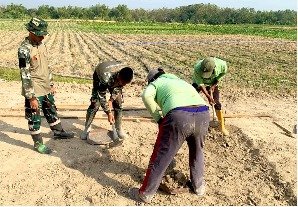 Pacu Ekonomi Pedesaan: Satgas TMMd 129 Bojonegoro Bangun Lapak PKL di Rest Area Kesongo