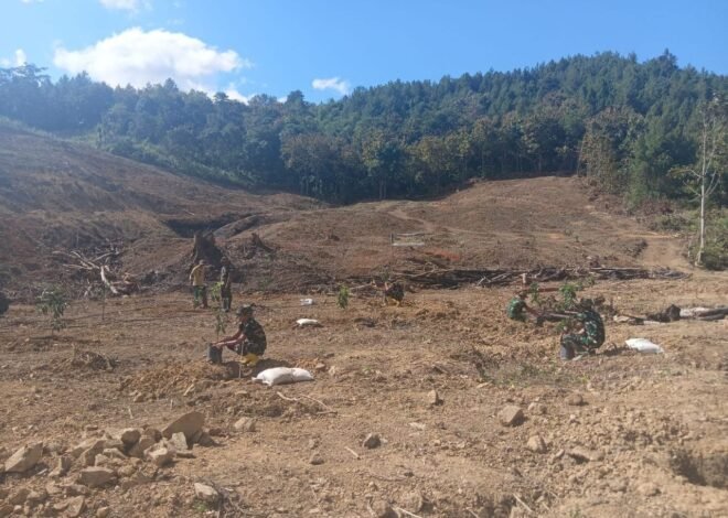 Satgas TMMD Ke-129 Kodim 1407/Bone Lanjutkan Penanaman Pohon Alpukat di Dusun Batulappa