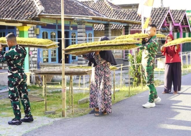 Kemanunggalan di Atas Widik: Cerita Kehangatan Satgas TMMD 129 Bojonegoro Bantu Olah Tembakau Petani Kesongo