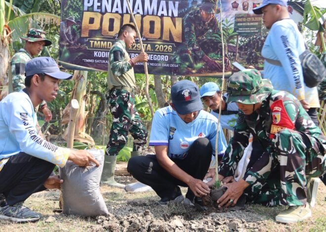 Warisan Hijau TMMD 129 Bojonegoro: Menanam Pohon, Merawat Masa Depan Desa Kesongo