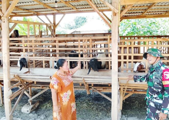 TMMD 129 Bojonegoro: Babinsa Kesongo ‘Sentuh Hati’ Peternak Kambing