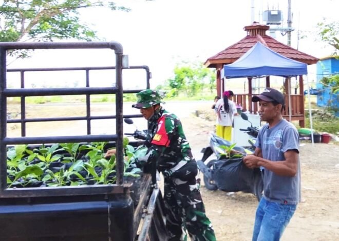 Perkuat Ketahanan Pangan: Satgas TMMD 129 Bojonegoro Pasok Ratusan Bibit Sayuran untuk Warga Kesongo