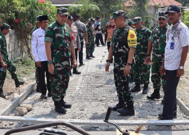 Ditinjau Tim Wasev Ster TNI, Pelaksanaan TMMD 129 di Kesongo Bojonegoro Panen Pujian