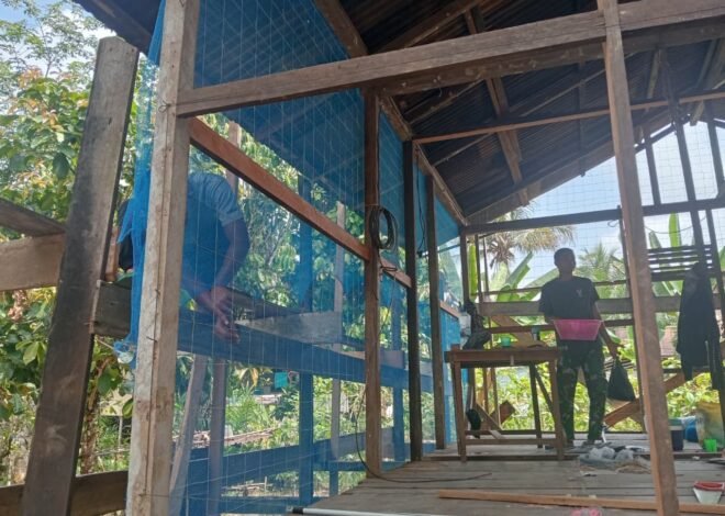 Kejar Target, Satgas TMMD Kodim 1206/Putussibau Percepat Rehabilitasi RTLH Ibu Marsiana