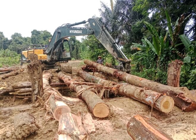 Tak Abaikan Kualitas, Satgas TMMD Kodim 1206/Putussibau Kebbut Pembangunan Jembatan