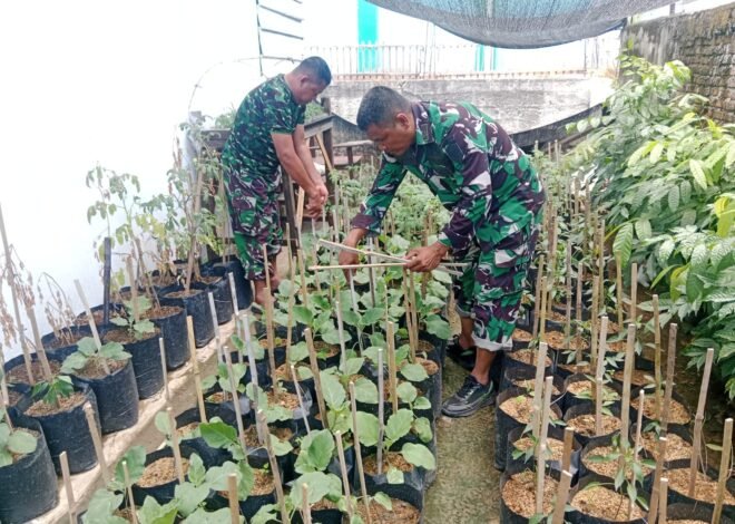 Satgas TMMD Ke-129 Kodim 0102/Pidie Kembangkan Demplot Sayuran untuk Perkuat Ketahanan Pangan Warga
