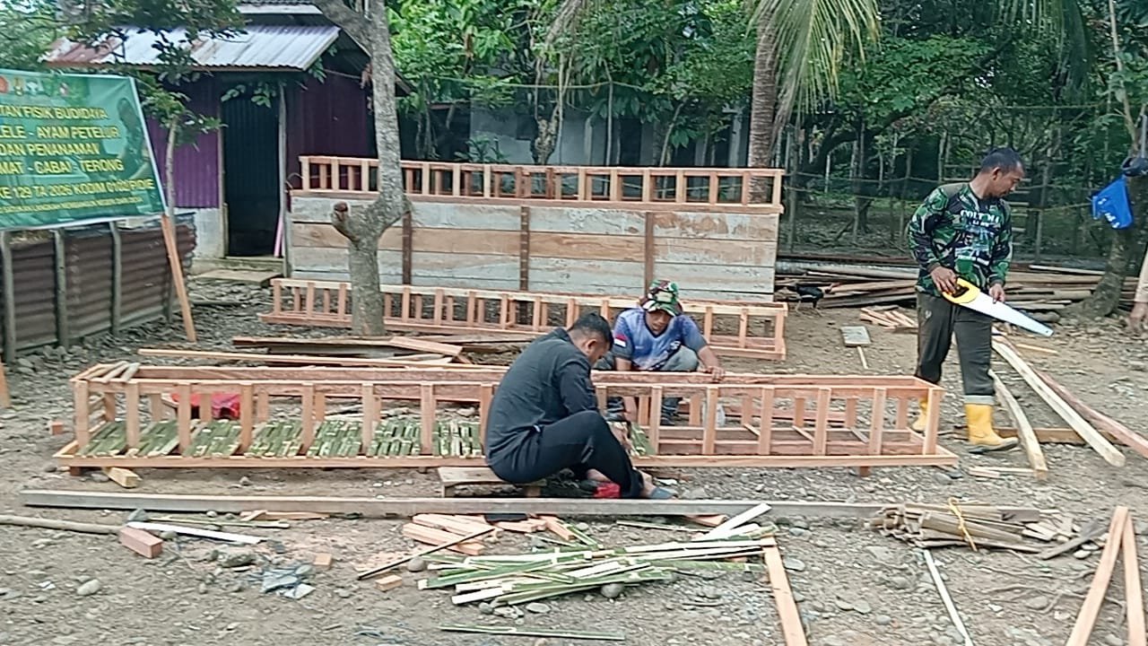 TMMD Kodim 0102/Pidie Hadirkan Peluang Usaha Baru, Lima Kandang Ayam Petelur Dibangun untuk Warga