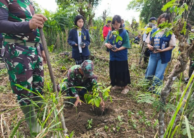 500 Pohon Mahoni Ditanam di Sekardadi, Satgas TMMD Dorong Penghijauan Berkelanjutan
