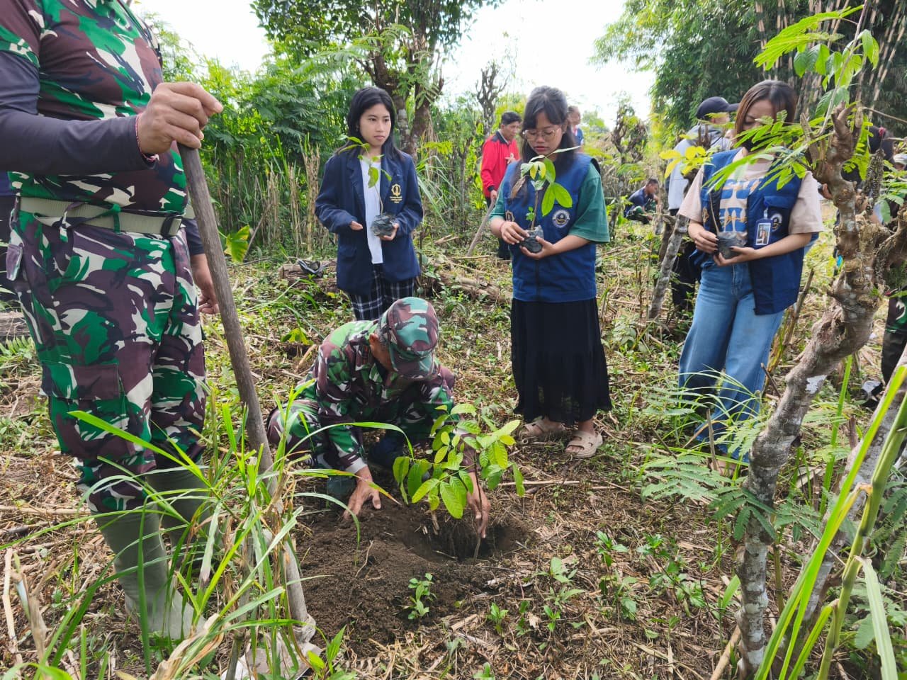 500 Pohon Mahoni Ditanam di Sekardadi, Satgas TMMD Dorong Penghijauan Berkelanjutan