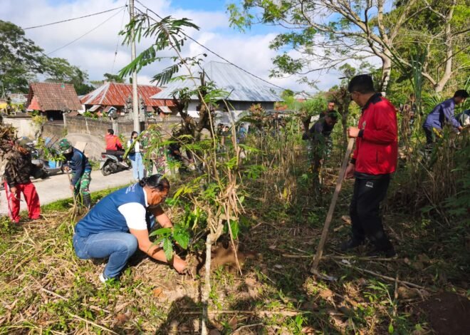 Tanam Mahoni di Sepanjang Jalan Rabat Beton, Satgas TMMD Bangli Ciptakan Lingkungan Lebih Teduh