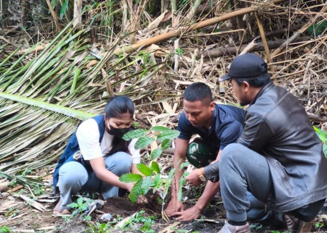 Wujudkan TMMD Berkelanjutan, Satgas Kodim Bangli Hijaukan Desa Sekardadi dengan 500 Mahoni