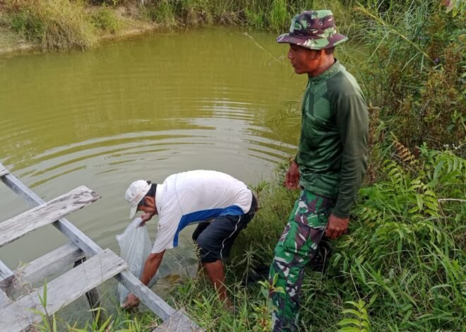 Perkuat Ketahanan Pangan Lokal, Satgas TMMD ke-129 Kodim 1206/Putussibau Bagikan Bibit Ikan ke Warga.