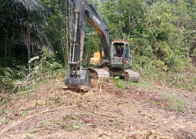 Pembangunan jalan penghubung ini diproyeksikan akan memberikan dampak positif yang signifikan bagi masyarakat, di antaranya: