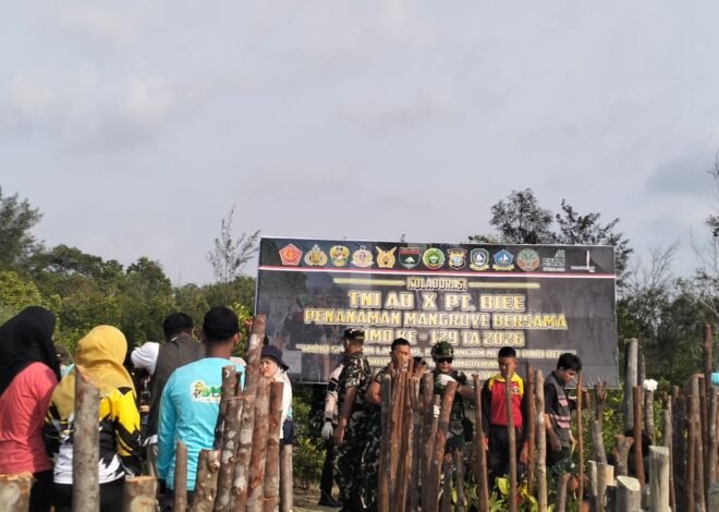 TMMD ke-129 Kodim 0315/Tanjungpinang Tanam Ribuan Mangrove, Jaga Pesisir Desa Busung dari Abrasi