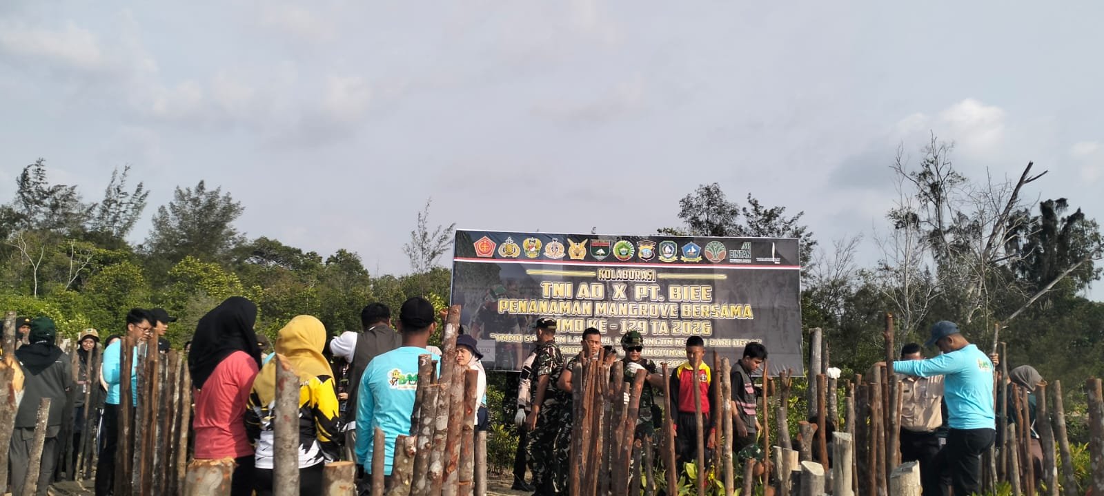 TMMD ke-129 Kodim 0315/Tanjungpinang Tanam Ribuan Mangrove, Jaga Pesisir Desa Busung dari Abrasi