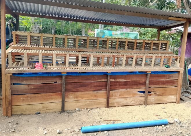 TMMD ke-129 Hadirkan Sarana Produktif, Lima Keluarga Penerima RTLH Siap Kembangkan Budidaya Lele dan Ayam Petelur