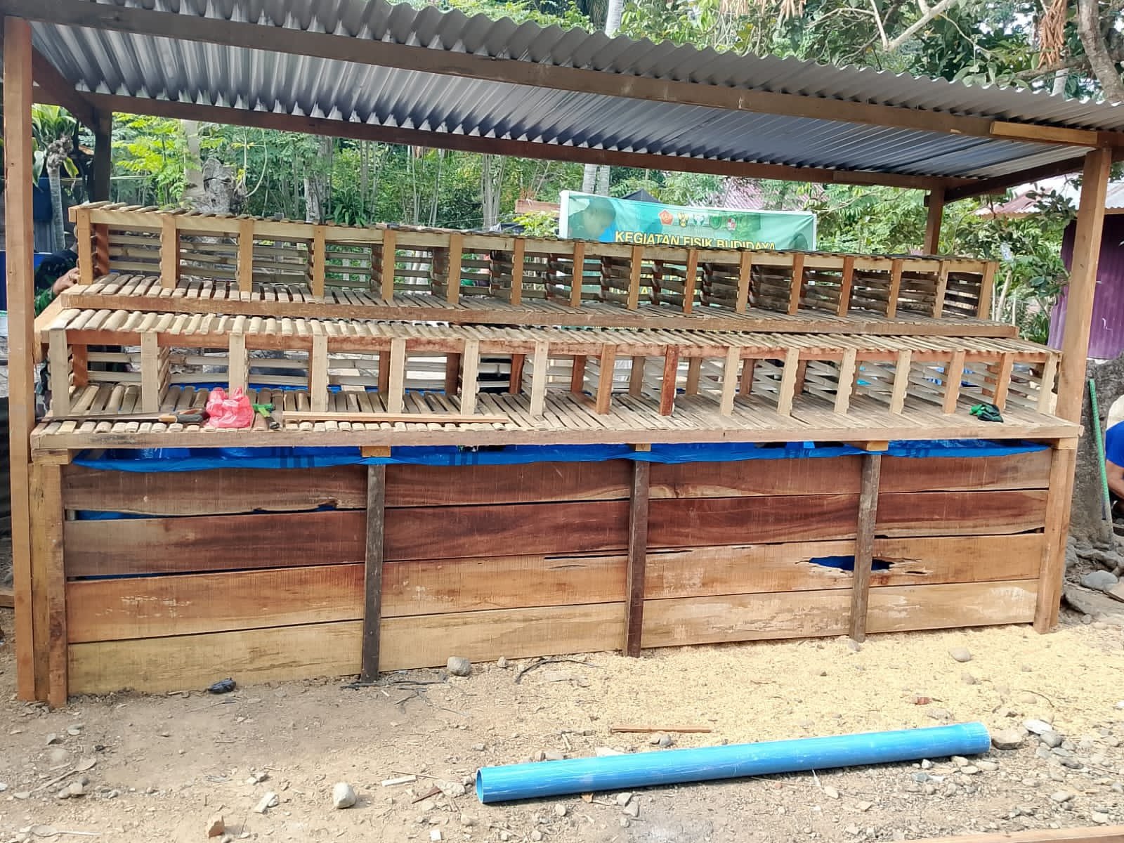 TMMD ke-129 Hadirkan Sarana Produktif, Lima Keluarga Penerima RTLH Siap Kembangkan Budidaya Lele dan Ayam Petelur