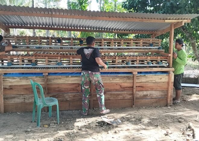 Dari Rumah Layak Huni Menuju Keluarga Mandiri, Satgas TMMD Bangun Kandang Ayam dan Kolam Lele untuk Nyak Ubit