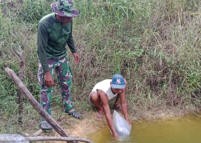 Perkuat Ketahanan Pangan Desa, Satgas TMMD Ke-129 Kodim 1206/Putussibau Bagikan Bibit Ikan kepada Warga